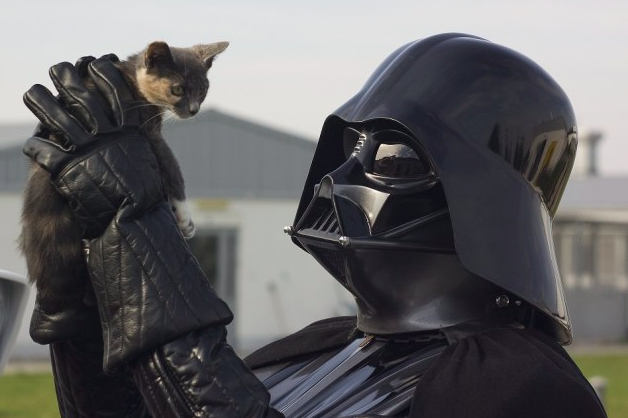 Cat Vader